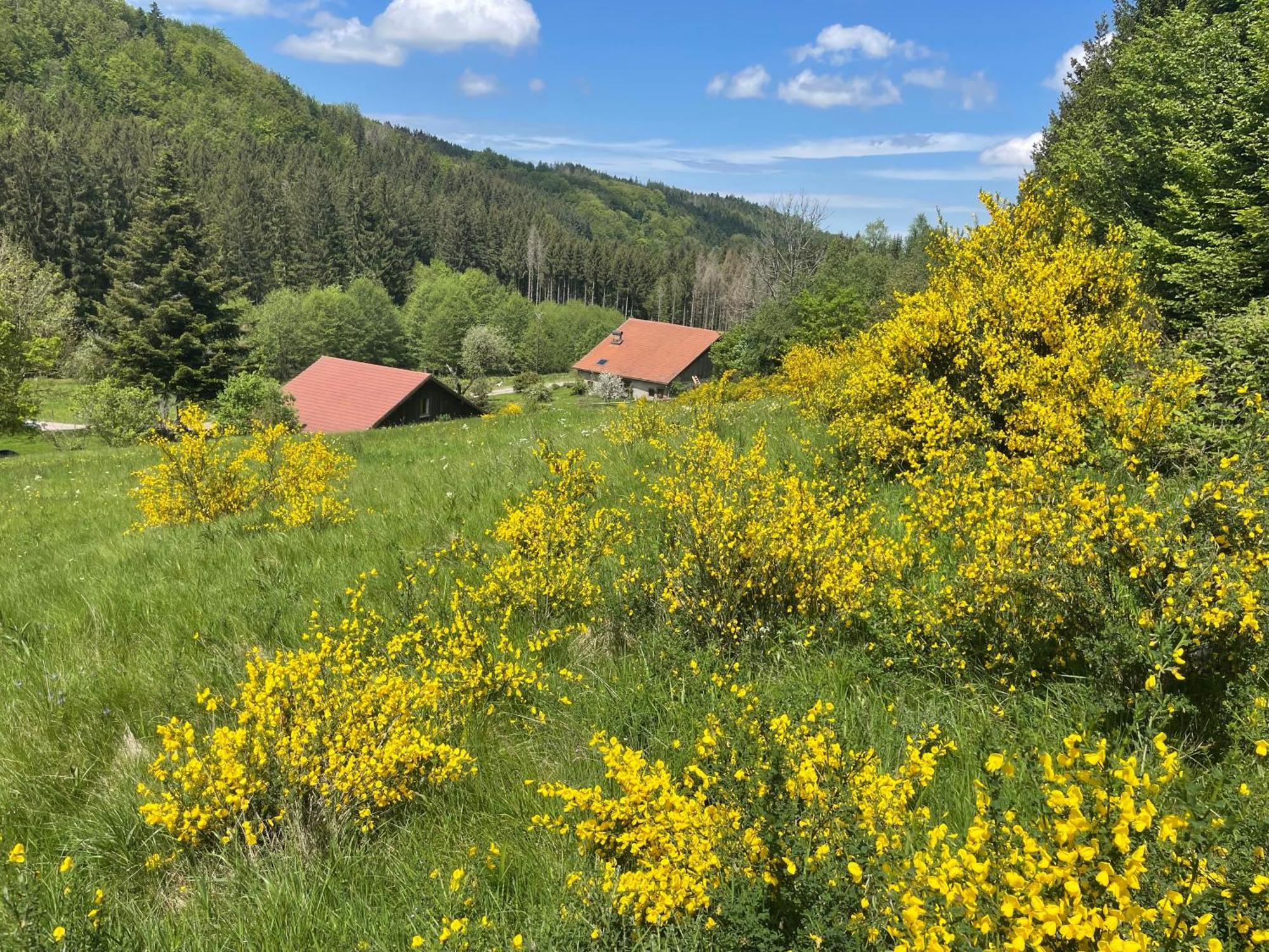 La Hutte Villa Tendon Exterior foto